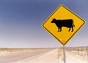 《特斯拉学徒2》Demo上线 支持简繁体中文